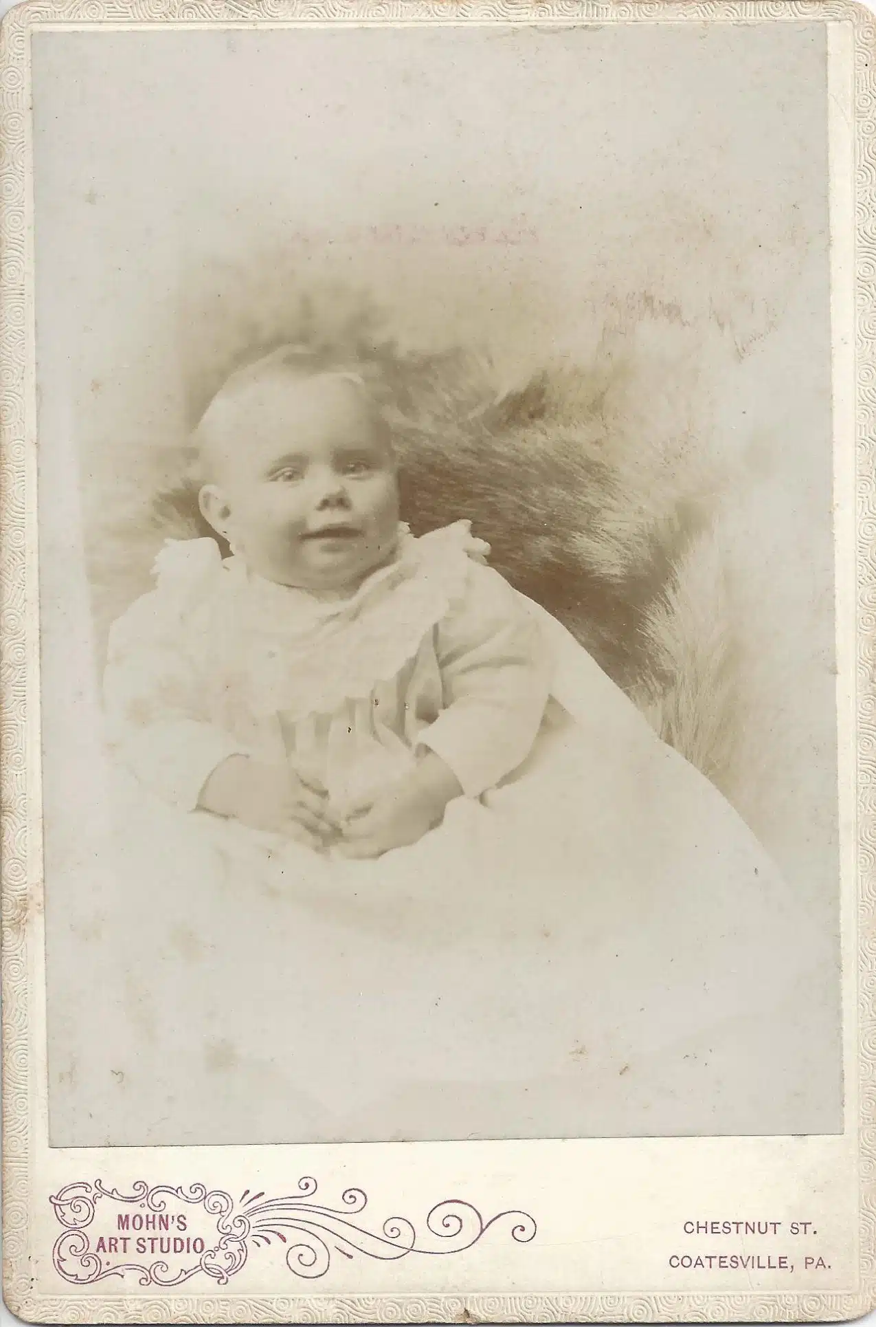 Mohn Cc Infant Photo107frontonly